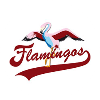 Berlin Flamingos